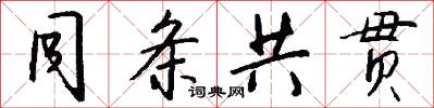 同条共贯怎么写好看