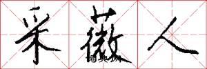 采薇人怎么写好看