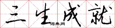 三生成就怎么写好看