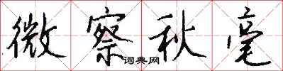 微察秋毫怎么写好看