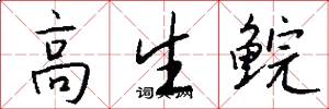 高生鲩怎么写好看