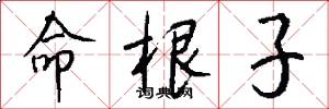 命根子怎么写好看