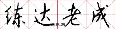 练达老成怎么写好看