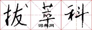 拔萃科怎么写好看