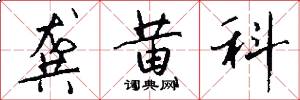 龚黄科怎么写好看