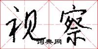 视察怎么写好看