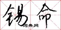 锡命怎么写好看