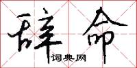 辞命怎么写好看