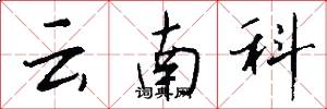云南科怎么写好看