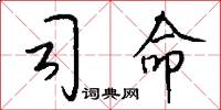 司命怎么写好看