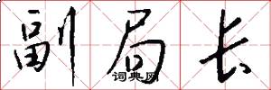 副局长怎么写好看