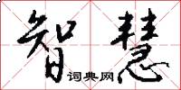 智慧怎么写好看