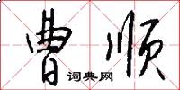 曹顺怎么写好看