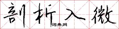 剖析入微怎么写好看