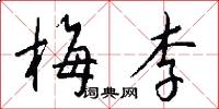 梅李怎么写好看