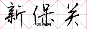 新保关怎么写好看