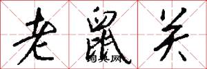老鼠关怎么写好看