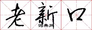 老新口怎么写好看