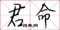君命怎么写好看