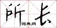 所长怎么写好看
