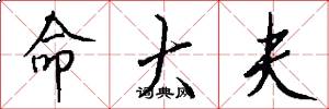 命大夫怎么写好看