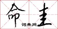 命圭怎么写好看