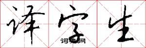 译字生怎么写好看