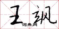 王飒怎么写好看