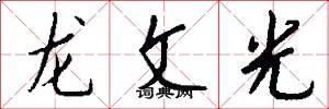 龙文光怎么写好看