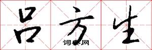 吕方生怎么写好看