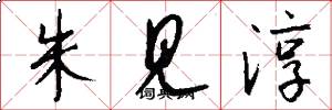 朱见淳怎么写好看