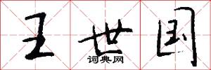 王世国怎么写好看