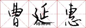 曹延惠怎么写好看