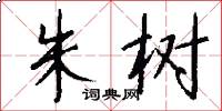 朱树怎么写好看