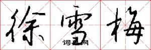 徐雪梅怎么写好看