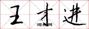 王才进怎么写好看