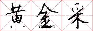 黄金采怎么写好看