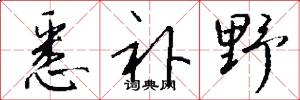 悉补野怎么写好看