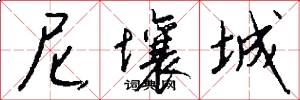 尼壤城怎么写好看