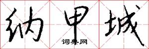 纳甲城怎么写好看