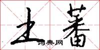 土蕃怎么写好看