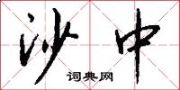 沙中怎么写好看