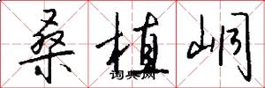 桑植峒怎么写好看