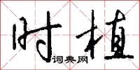 时植怎么写好看