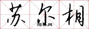 苏尔相怎么写好看