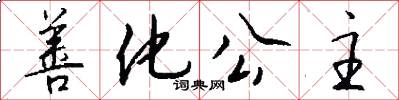 善化公主怎么写好看