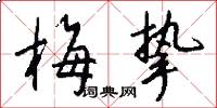 梅挚怎么写好看