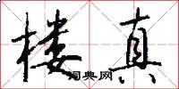 楼真怎么写好看