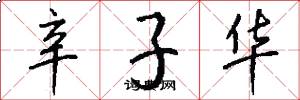 辛子华怎么写好看