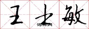 王士敏怎么写好看